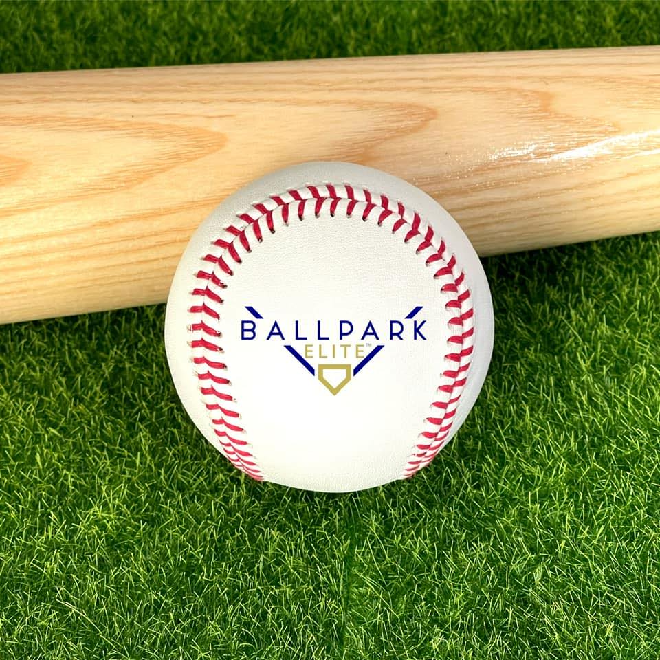 Ballpark Elite Baseball Dog Collar (Small)